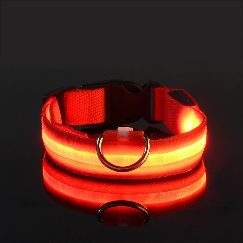 Laisse LED clignotante en nylon pour chien, sécurité nocturne, lueur dans le noir, collier de chien de compagnie structurels ent Shoous
