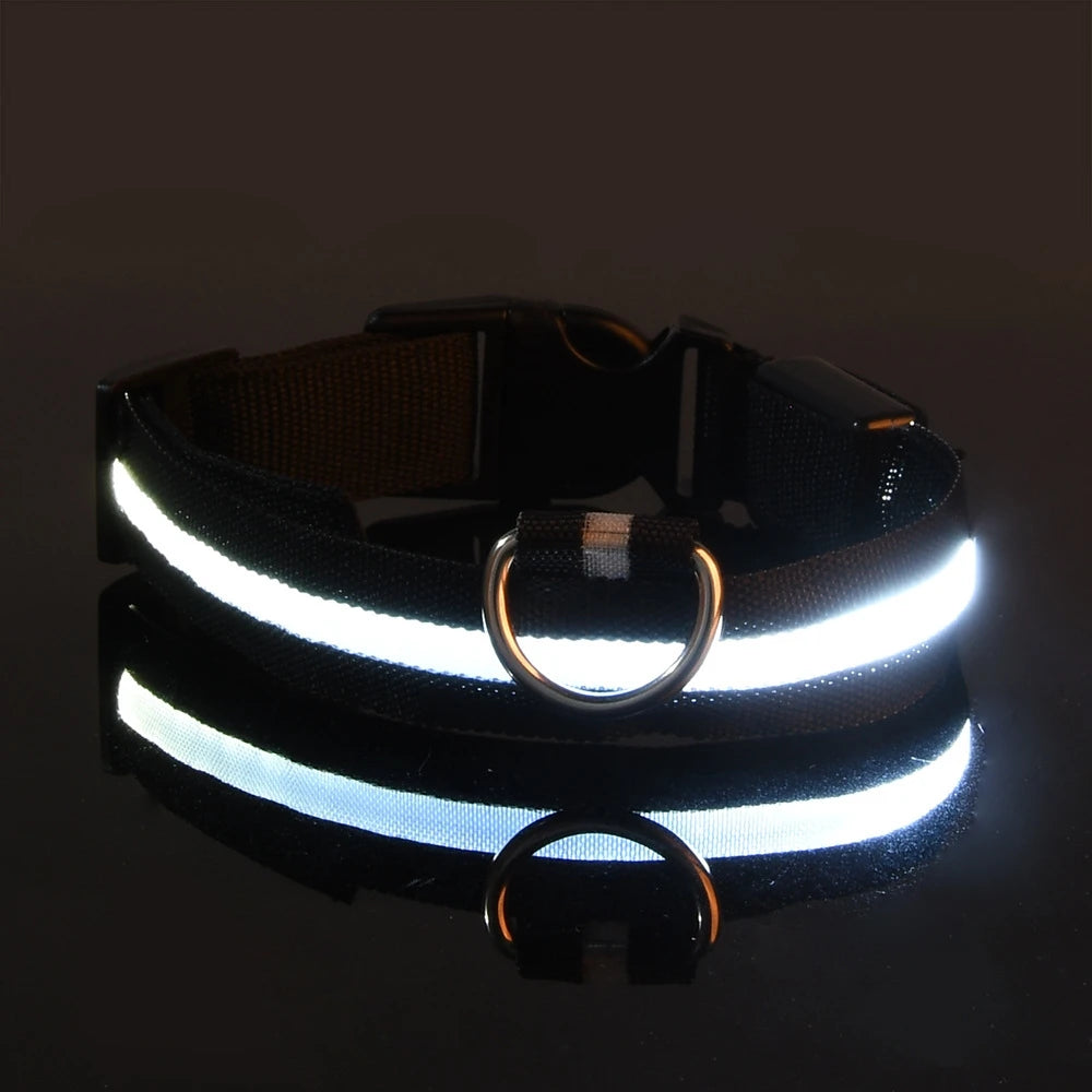 Laisse LED clignotante en nylon pour chien, sécurité nocturne, lueur dans le noir, collier de chien de compagnie structurels ent Shoous
