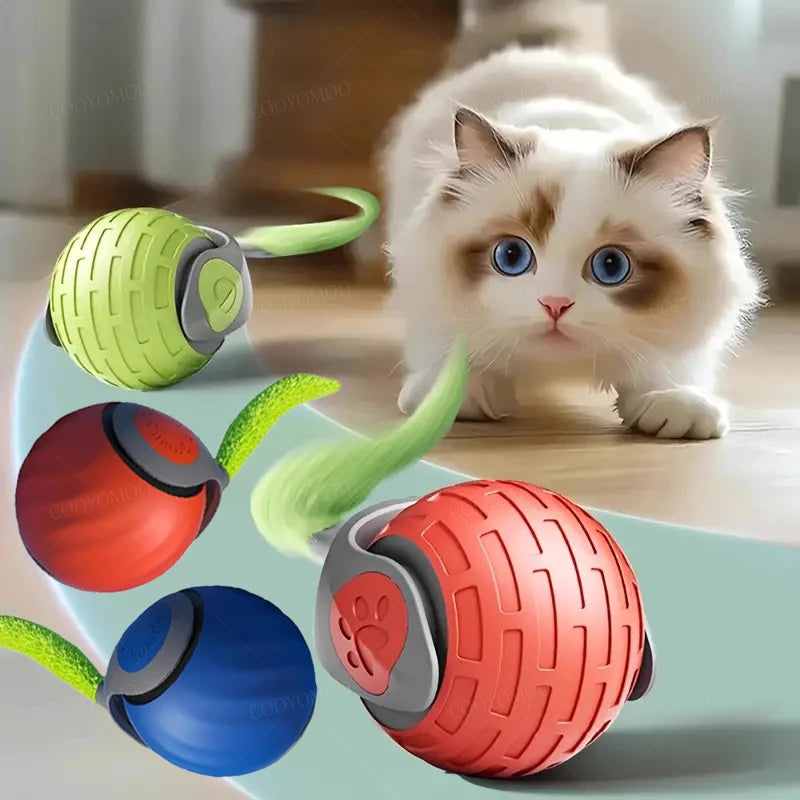 Balle Interactive USB pour Chat