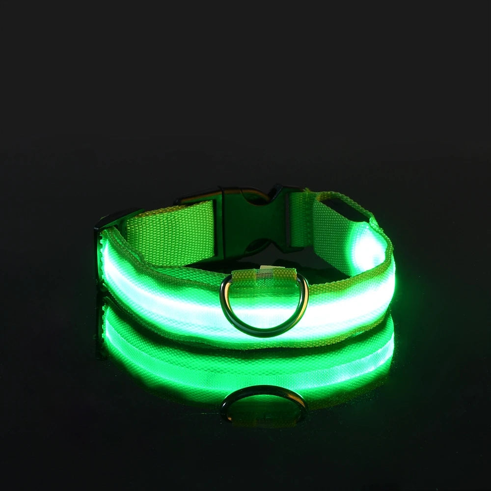 Laisse LED clignotante en nylon pour chien, sécurité nocturne, lueur dans le noir, collier de chien de compagnie structurels ent Shoous