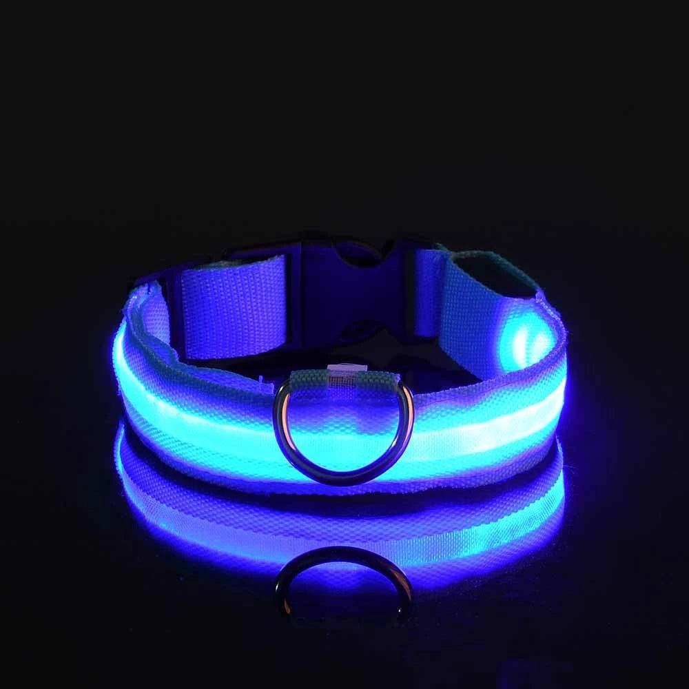 Laisse LED clignotante en nylon pour chien, sécurité nocturne, lueur dans le noir, collier de chien de compagnie structurels ent Shoous