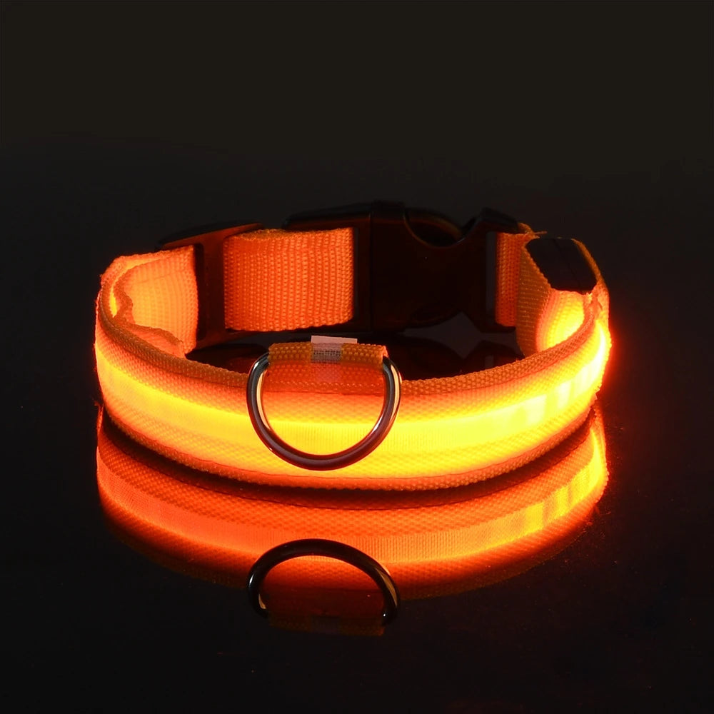 Laisse LED clignotante en nylon pour chien, sécurité nocturne, lueur dans le noir, collier de chien de compagnie structurels ent Shoous