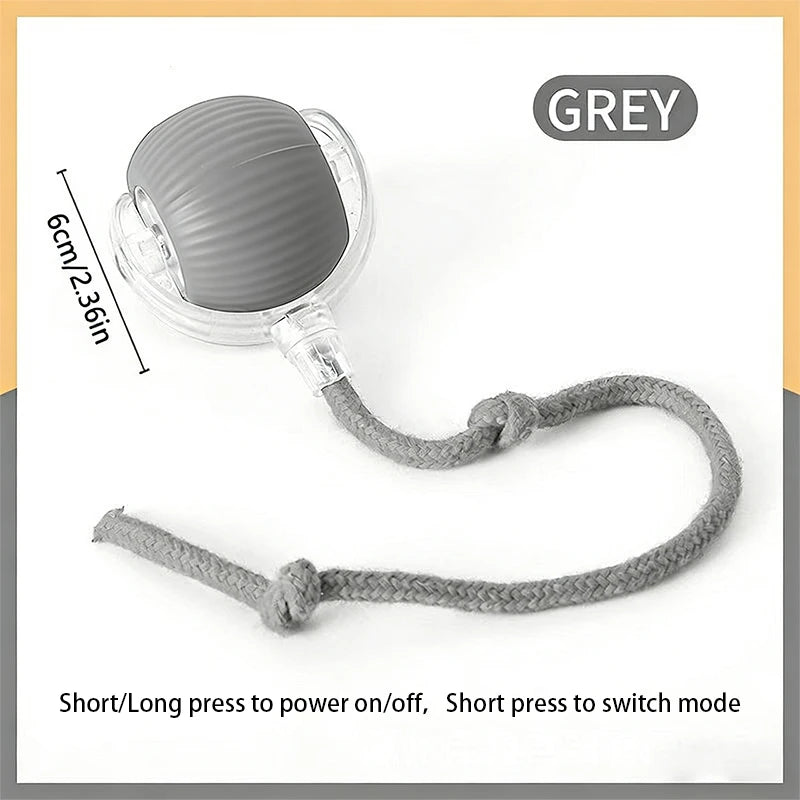 Balle Interactive USB pour Chat