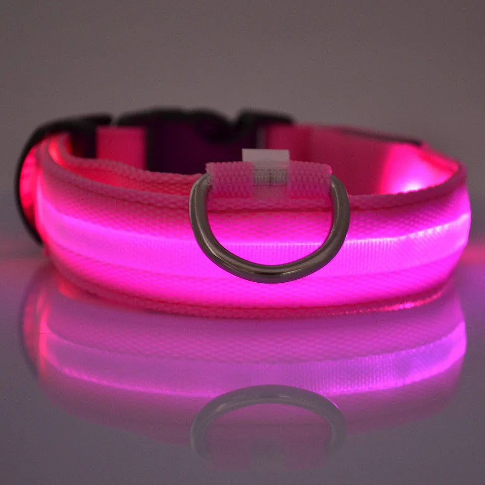Laisse LED clignotante en nylon pour chien, sécurité nocturne, lueur dans le noir, collier de chien de compagnie structurels ent Shoous