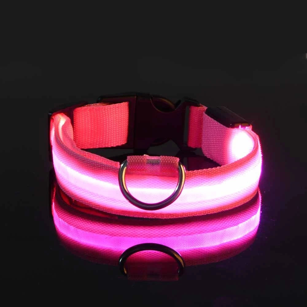 Laisse LED clignotante en nylon pour chien, sécurité nocturne, lueur dans le noir, collier de chien de compagnie structurels ent Shoous