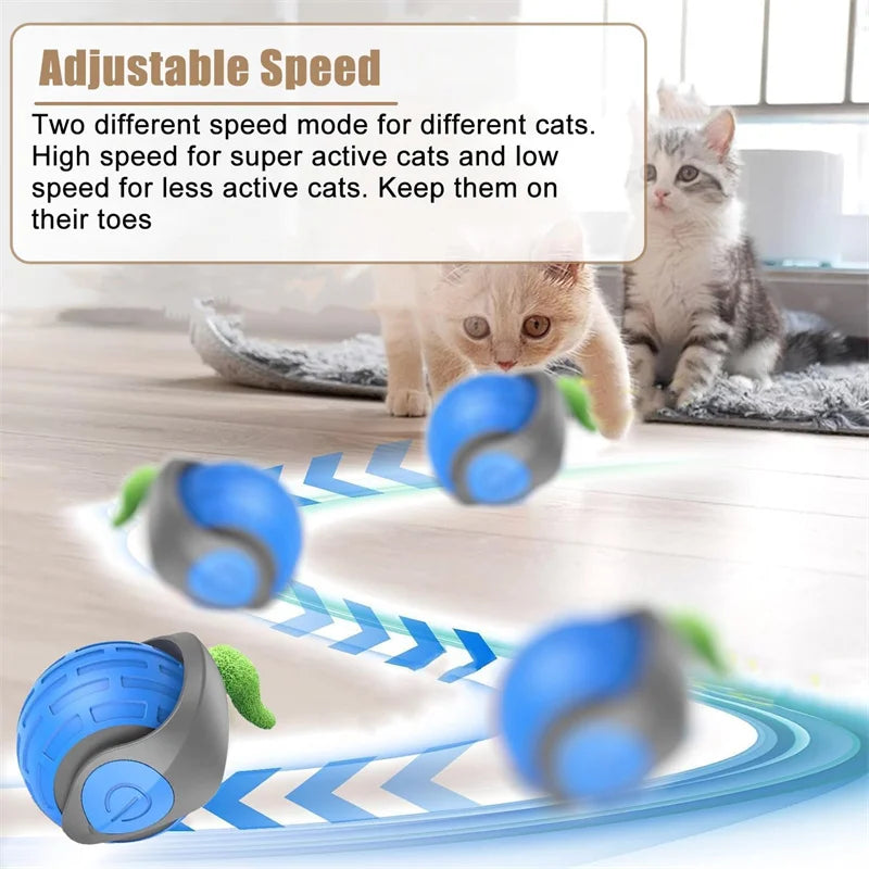 Balle Interactive USB pour Chat