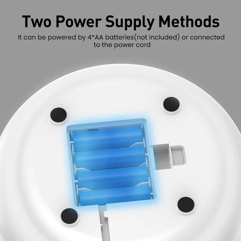 2-in-1 Interactive Feather and Ball Toy - Cats