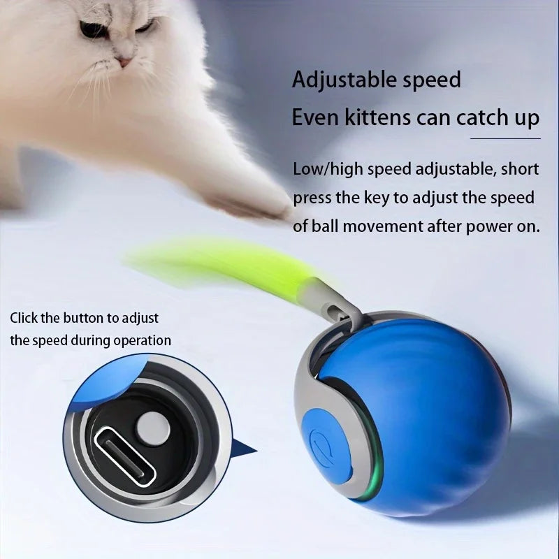 Balle Interactive USB pour Chat