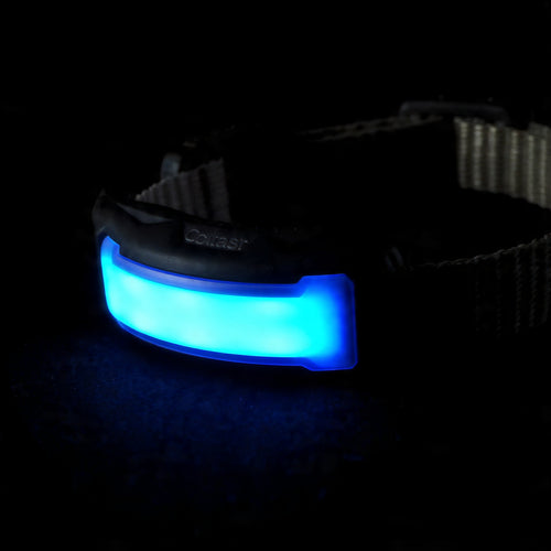 Collier LED lumineux chien PetsKissy