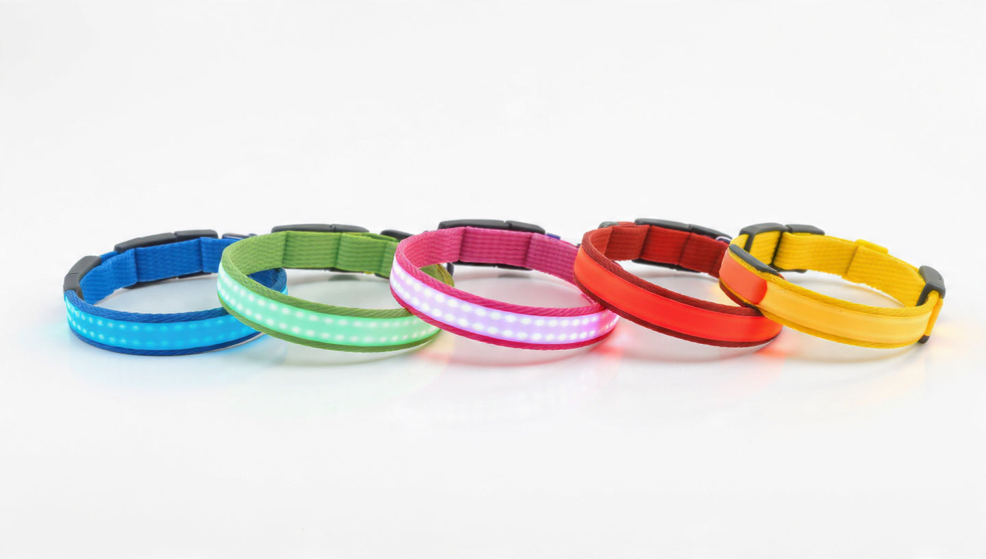 Nylon LED Flashing Dog Leash, Night Safety Glow in the Dark Pet Dog Collar Structural Ent Shoous