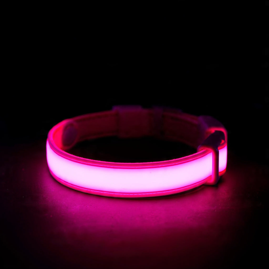Nylon LED Flashing Dog Leash, Night Safety Glow in the Dark Pet Dog Collar Structural Ent Shoous