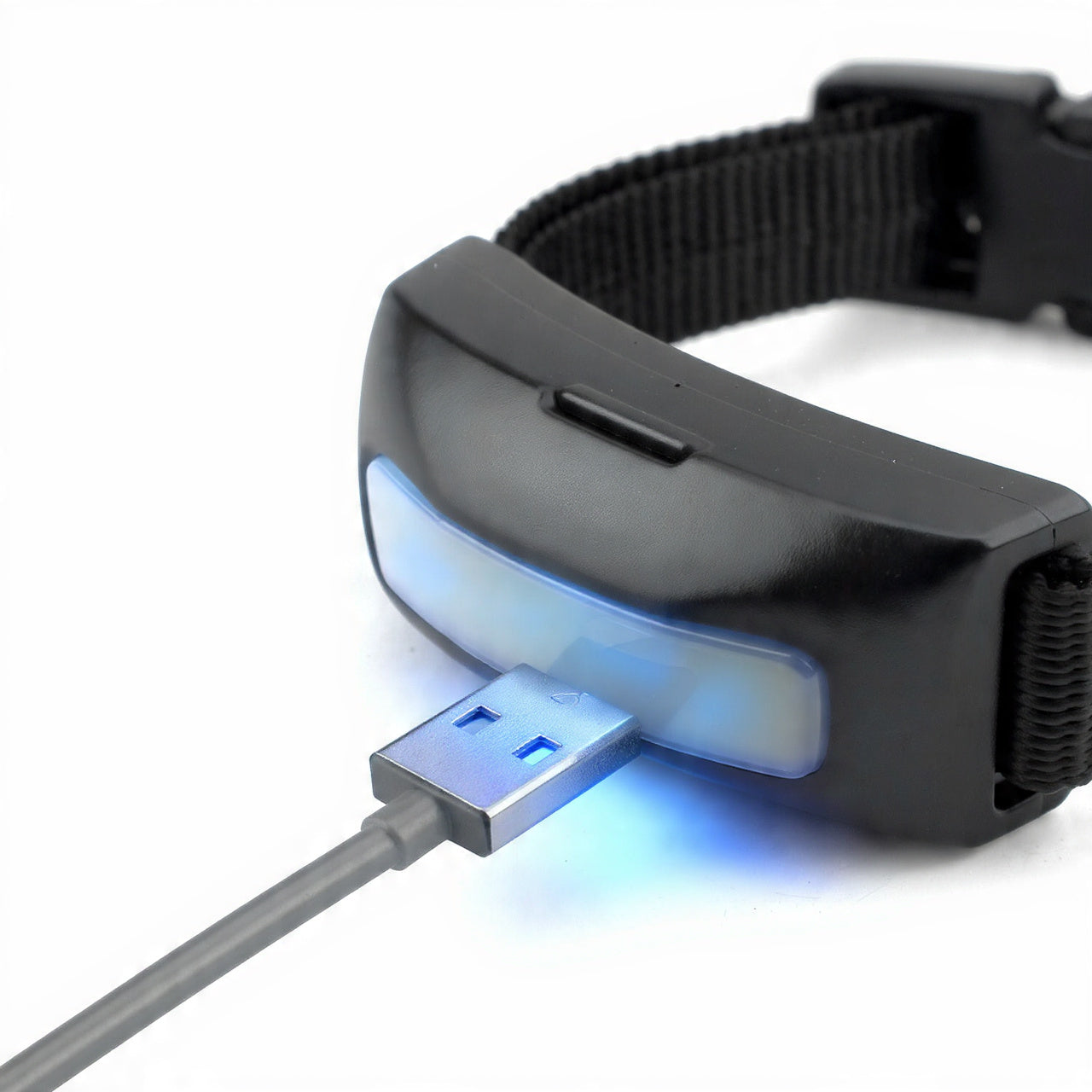 Nylon LED Flashing Dog Leash, Night Safety Glow in the Dark Pet Dog Collar Structural Ent Shoous