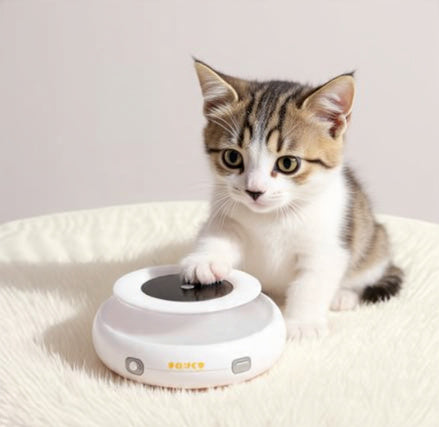 Jouet Automatique 2-en-1 pour Chat – Plume Interactive + Balle.